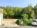 真上町 条件無土地