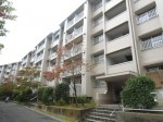 若山台   中古マンション